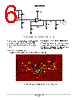 OPAMP3EVB Datasheet HTML 6Page - ON Semiconductor 