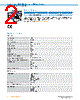IRS100-R53OF10 Datasheet HTML 2Page - SICK AG 