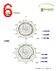 SWLP2450124B02 Datasheet HTML 6Page - Taoglas antenna solutions 