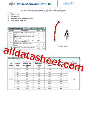 40NS Datasheet PDF - Naina Semiconductor ltd.
