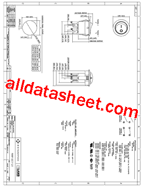 RR812C1121 Datasheet PDF - E-SWITCH